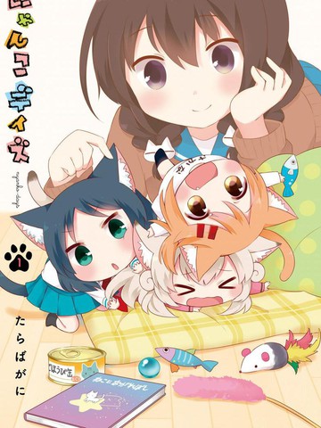 猫咪日常