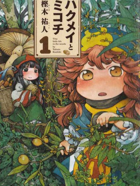 哈库梅伊与蜜珂析