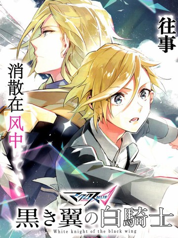    超时空要塞Δ 黑翼的白骑士