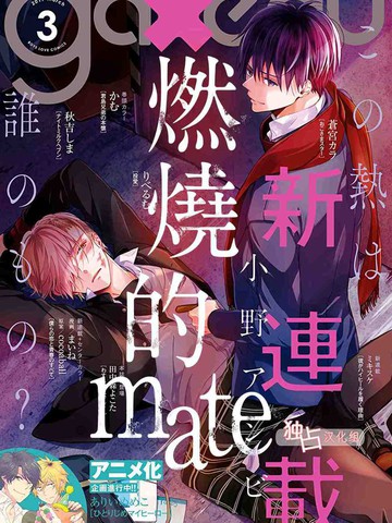 燃烧的mate