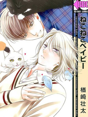 猫咪宝贝