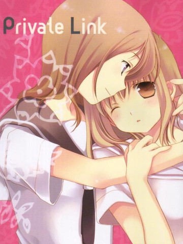 Private Link