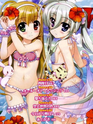 魔法少女Lyrical奈叶～vivid