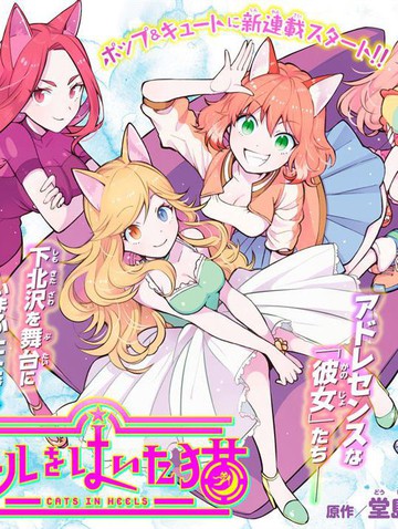 穿高跟鞋的猫