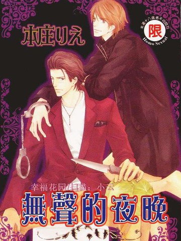 无声的夜晚
