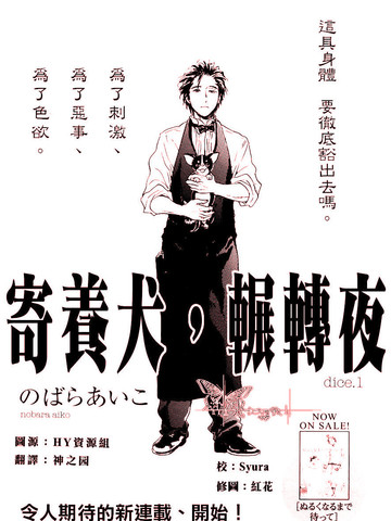 寄养犬 辗转夜