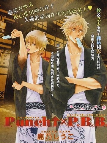 Punch PBB