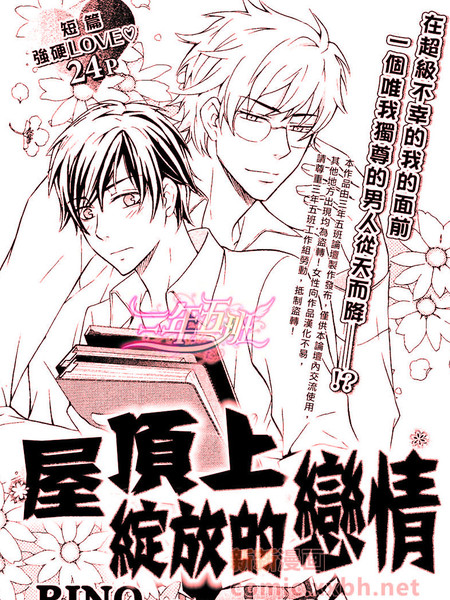 屋顶上绽放的恋情