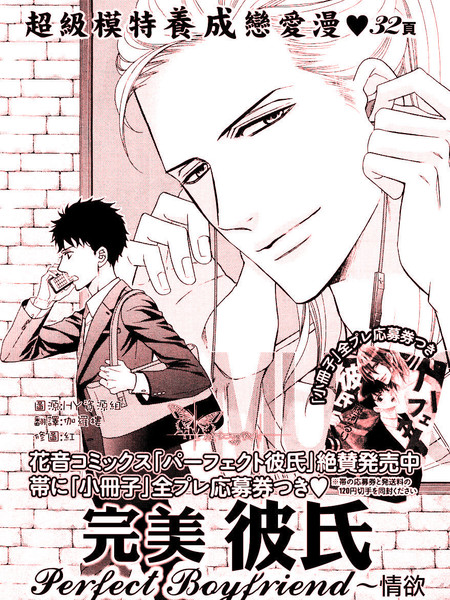 完美彼氏～情欲