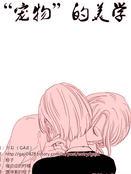 “宠物”的美学