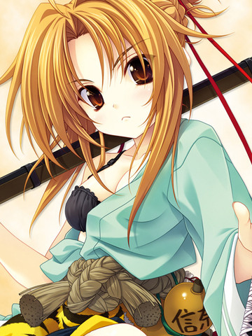 织田信奈的野望