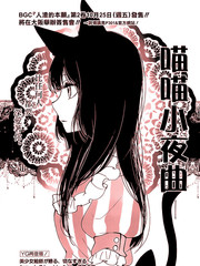 喵喵小夜曲
