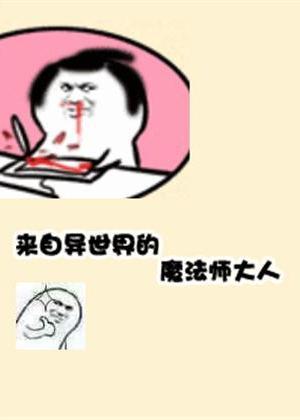 来自异世界的魔法师大人