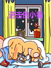 进击的小猫