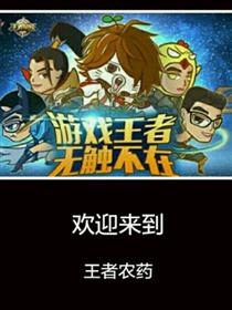 王者荣耀小片段