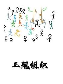正规组织