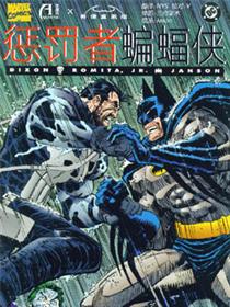 惩罚者-蝙蝠侠：杀戮骑士