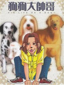 狗狗大帅哥