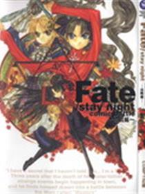 Fate/stay night 血战篇