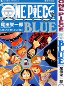 海贼王资料设定集