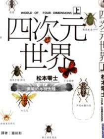 四次元世界