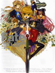 Fate/stay night 激突篇