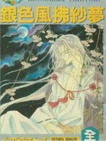 银色风拂纱梦