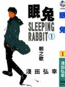 眠兔