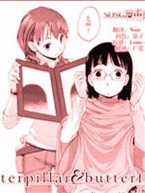 虫与蝶
