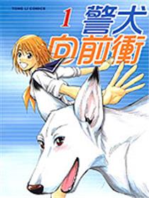 警犬向前冲