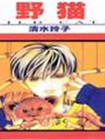 野猫