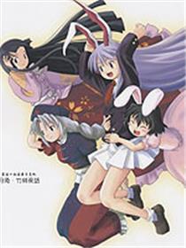 月兔·竹林夜话