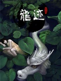 龙迹