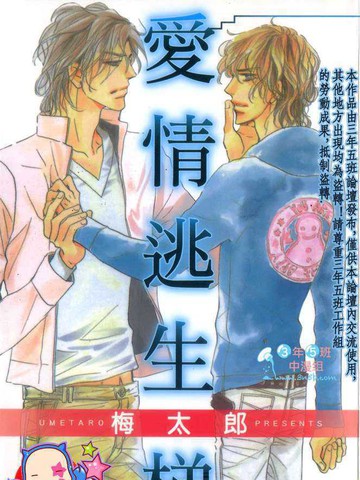 爱情逃生梯