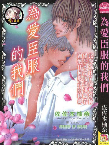 为爱臣服的我们