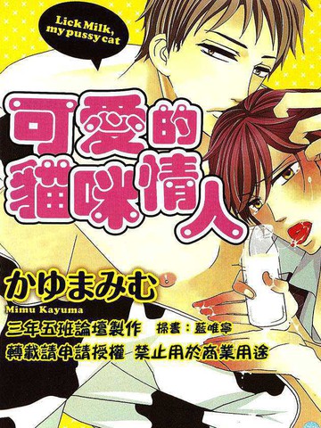 可爱的猫咪情人