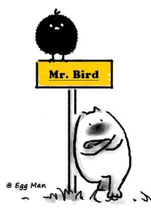 Mr. Bird