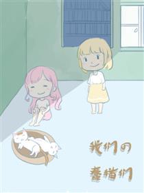 我们的蠢猫们