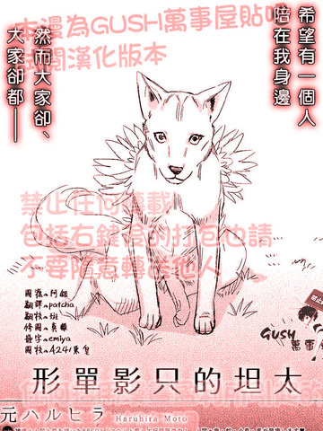 形单影隻的坦太