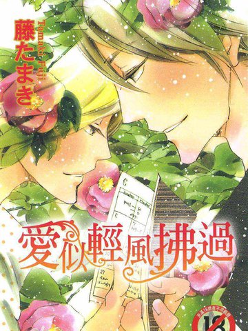 爱似清风拂过