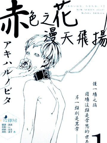 赤色之花 漫天飞扬