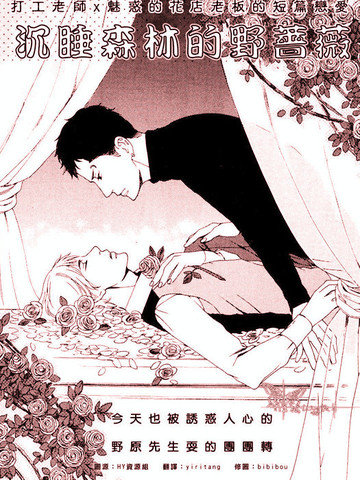 沉睡森林的野蔷薇