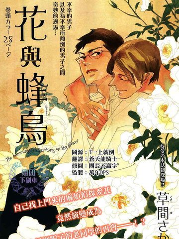 花与蜂鸟