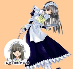 假面女仆卫士