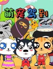 萌宠驾到