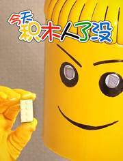 积木人了没