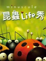 昆虫小世界