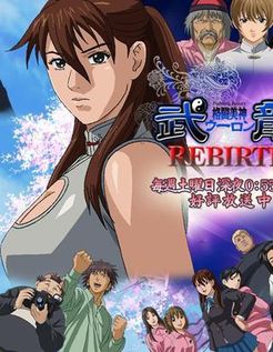 格斗美神武龙第2季