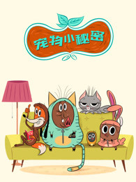 宠物小秘密