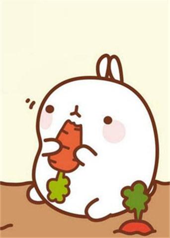 萌浪兔第一季molang